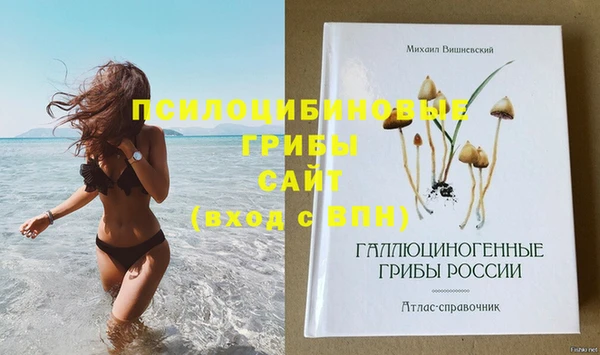 ПСИЛОЦИБИНОВЫЕ ГРИБЫ Абдулино