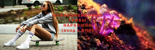 ПСИЛОЦИБИНОВЫЕ ГРИБЫ Абдулино